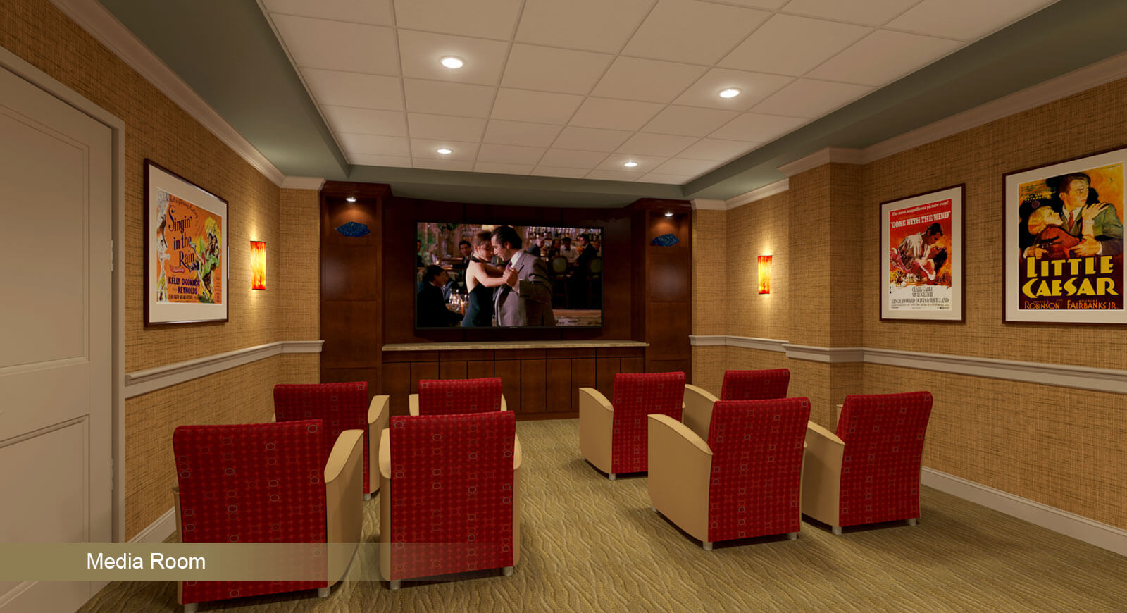 MEDIA ROOM